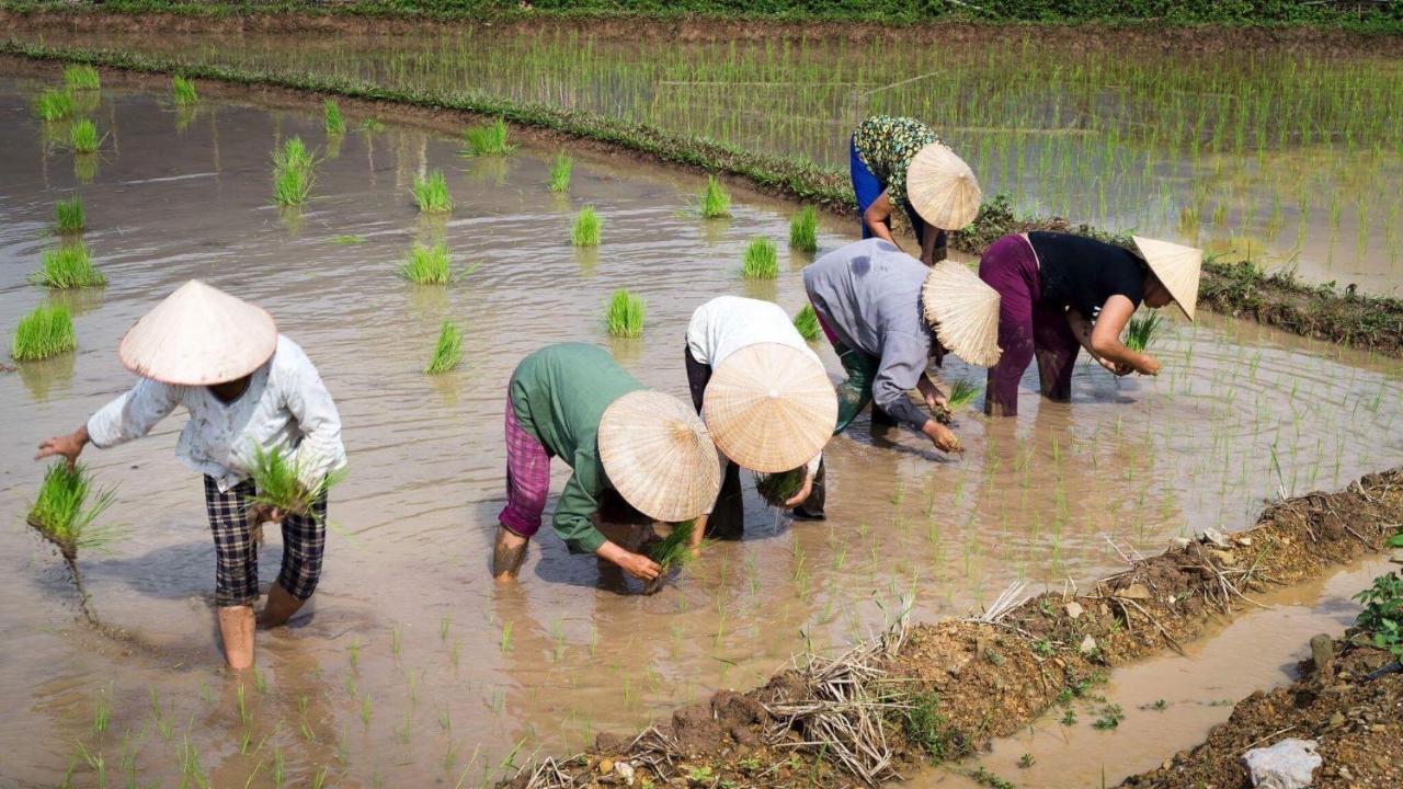Nha Tan - Mai Chau Homestay And Tours Dış mekan fotoğraf