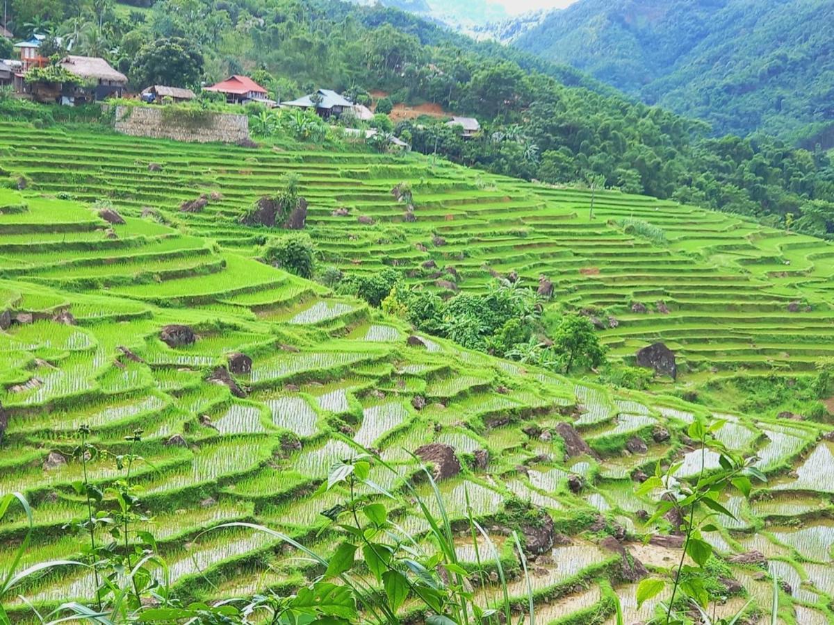 Nha Tan - Mai Chau Homestay And Tours Dış mekan fotoğraf