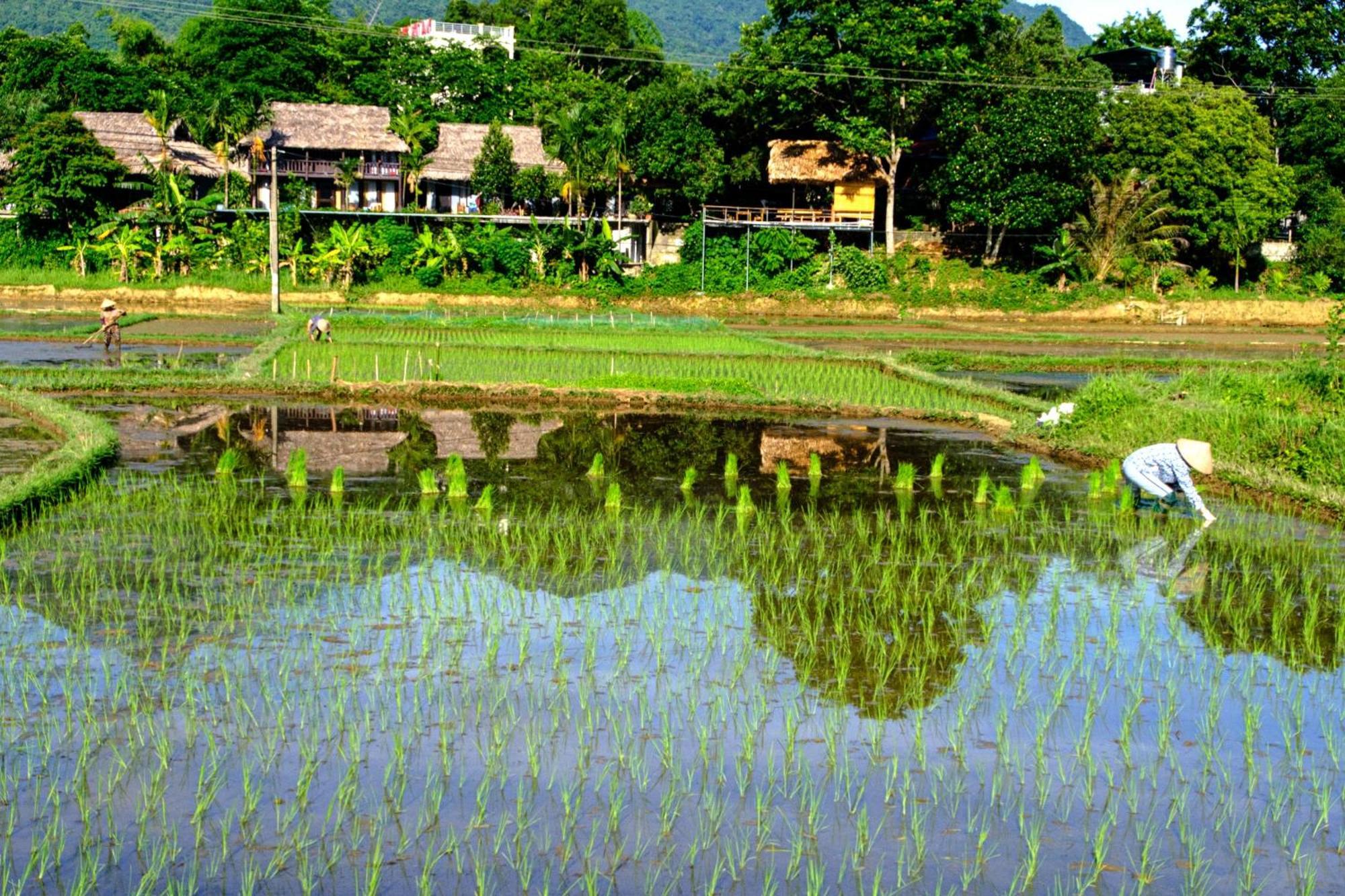 Nha Tan - Mai Chau Homestay And Tours Dış mekan fotoğraf