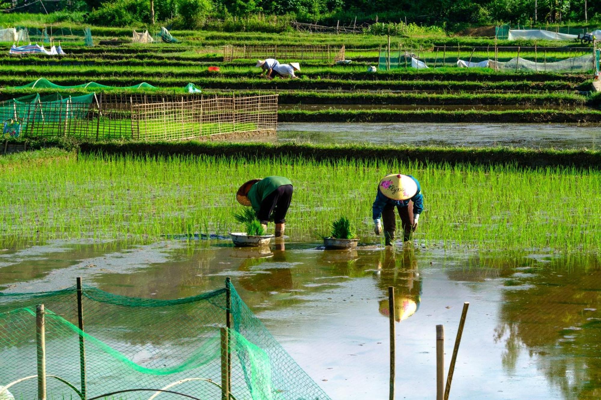 Nha Tan - Mai Chau Homestay And Tours Dış mekan fotoğraf