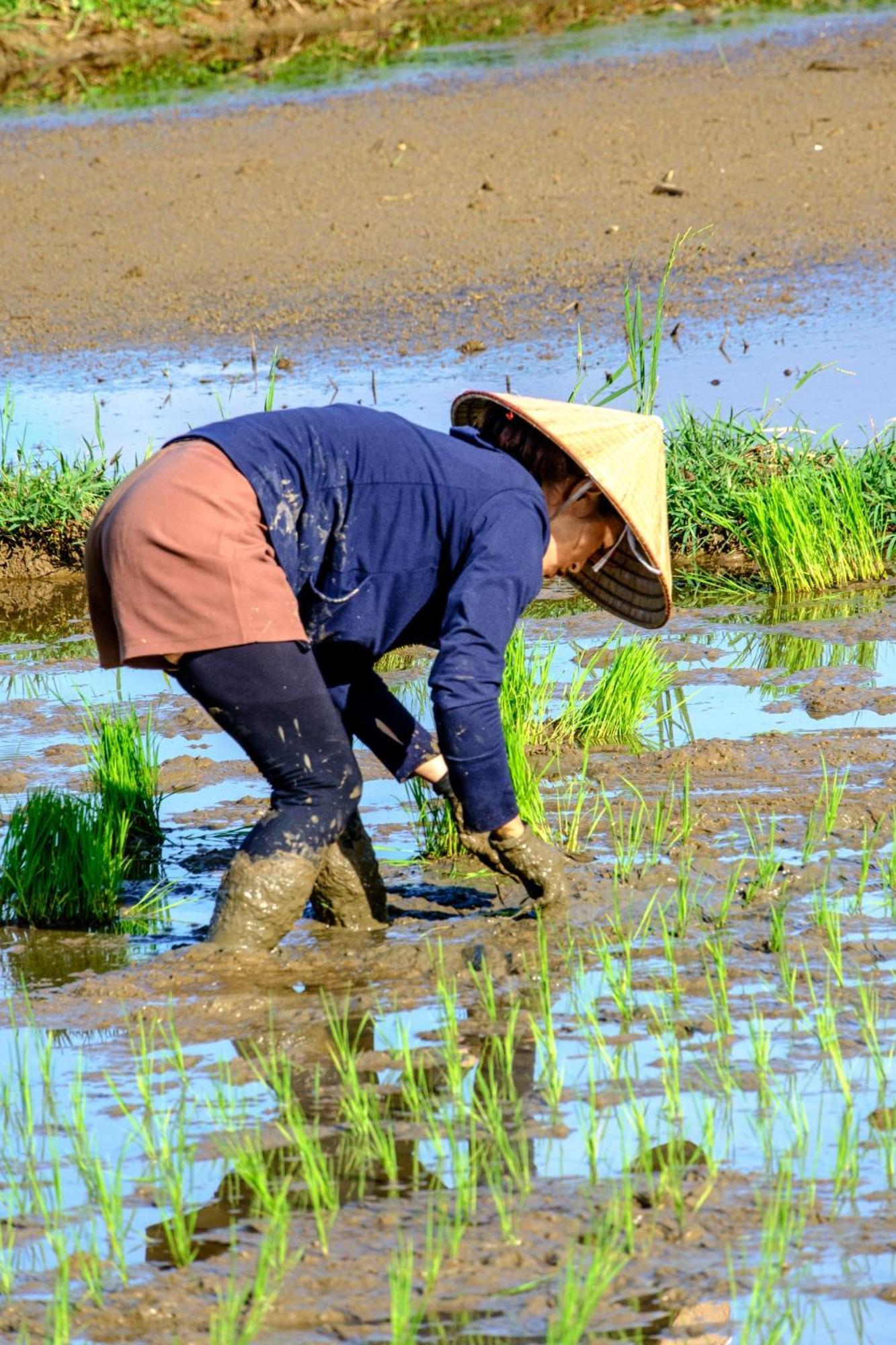 Nha Tan - Mai Chau Homestay And Tours Dış mekan fotoğraf