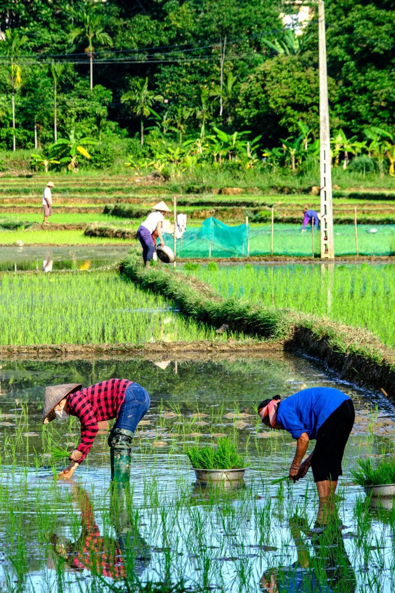 Nha Tan - Mai Chau Homestay And Tours Dış mekan fotoğraf
